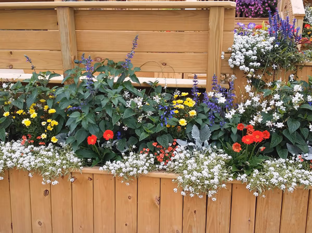 A wooden planter box filled with a variety of colorful flowers including white, red, yellow, and purple blooms, placed outdoors.