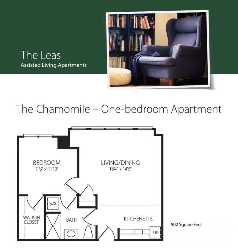 Brochure-style image showing a one-bedroom apartment floor plan titled "The Chamomile," a photo of an armchair and bookshelf, and the heading "The Leas Assisted Living Apartments."