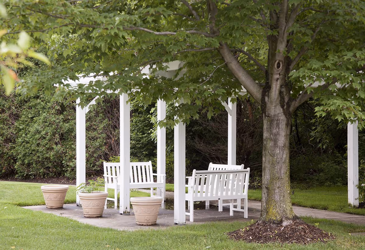 Outdoor seating area with white wooden benches under a white pergola surrounded by green grass, trees, and shrubs.