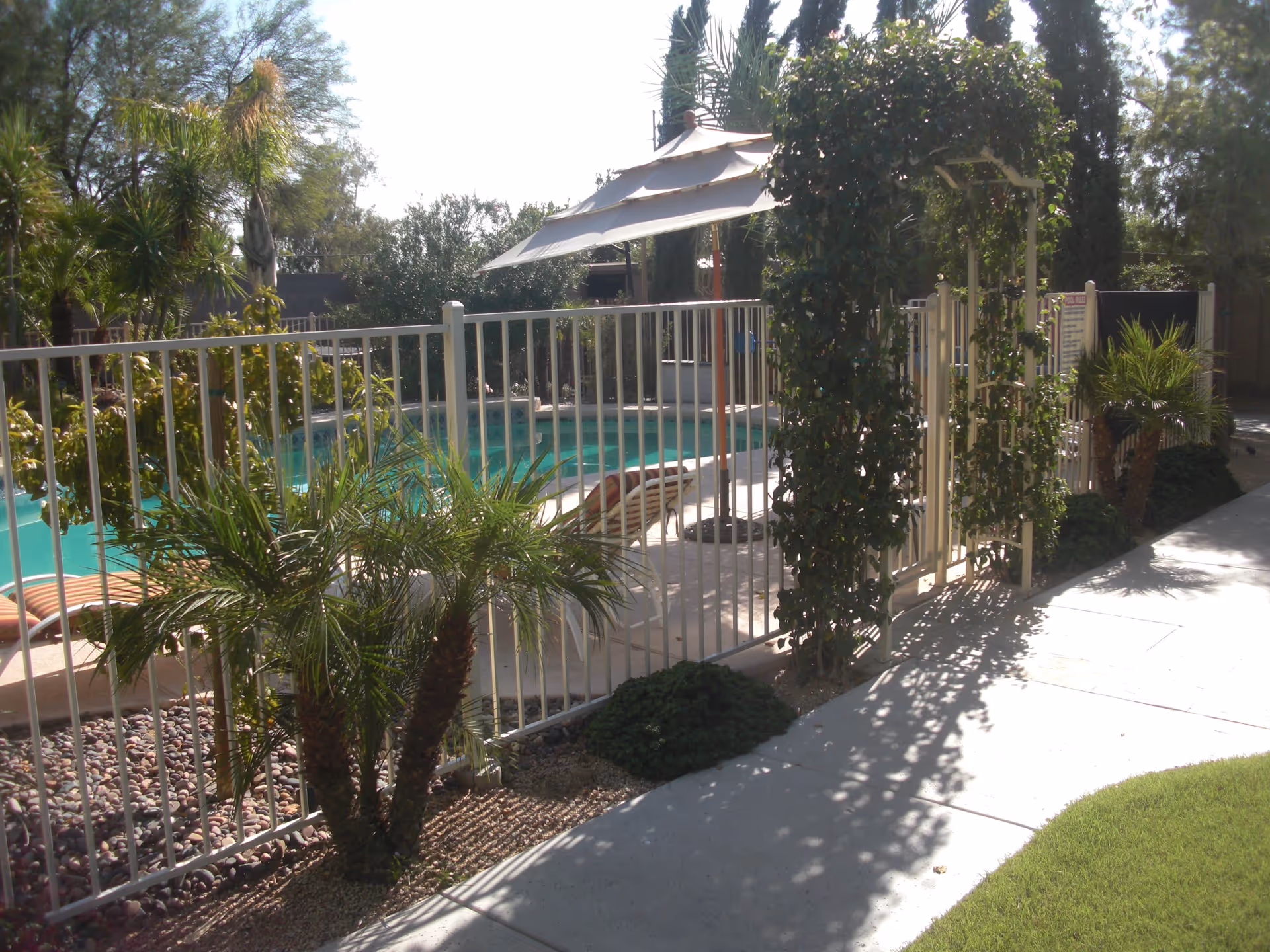 Outdoor area with a fenced swimming pool surrounded by greenery including palm trees and other plants. There is a paved walkway next to the fence and a shaded structure near the pool.