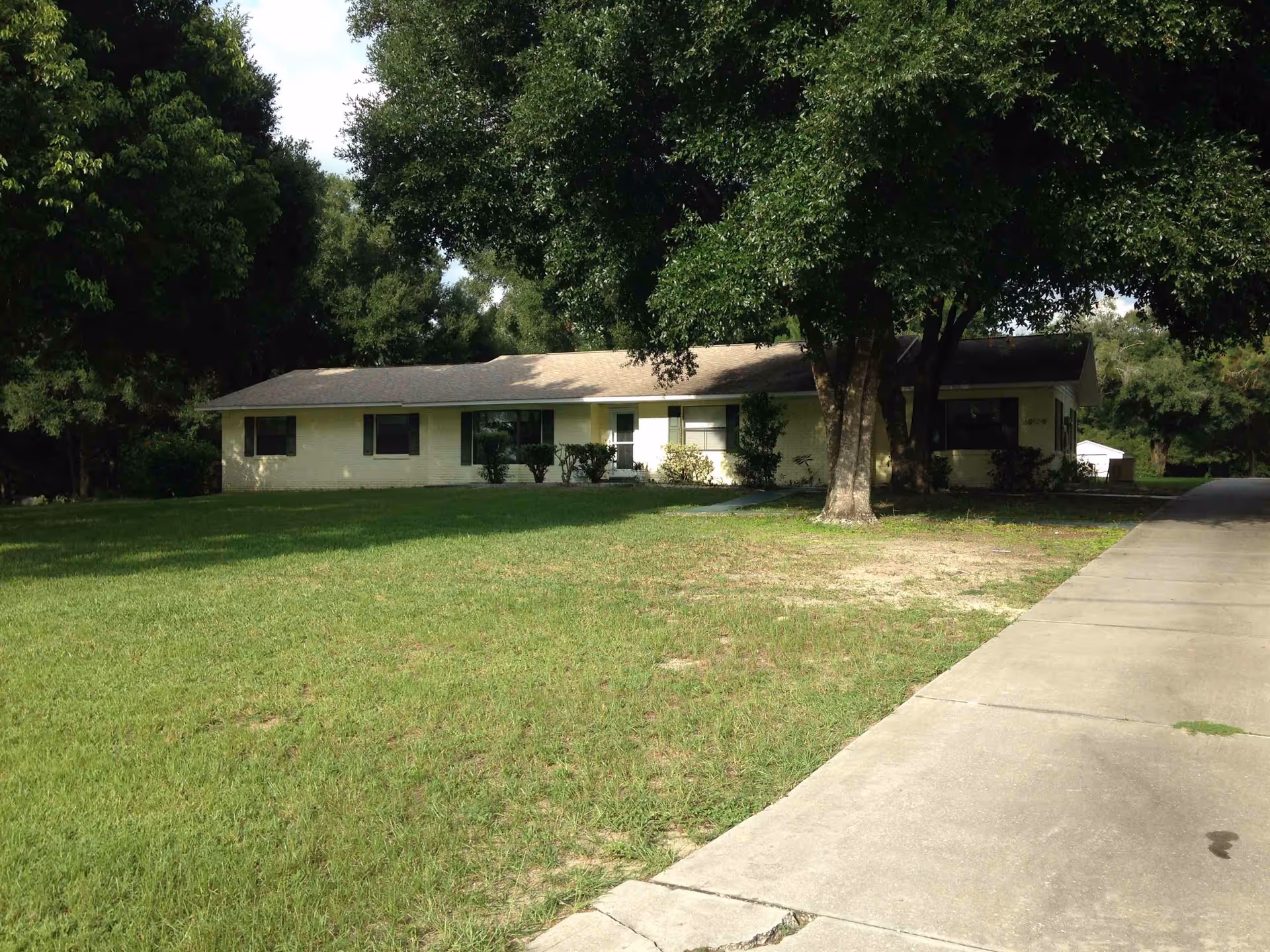 Single-story light yellow building with a shingled roof surrounded by large green trees and a grassy lawn, with a concrete driveway on the right side.