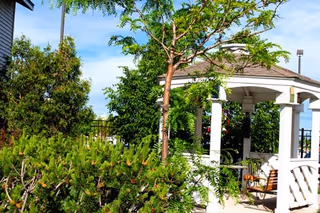 Outdoor gazebo structure surrounded by green trees and shrubs under a blue sky with some clouds.