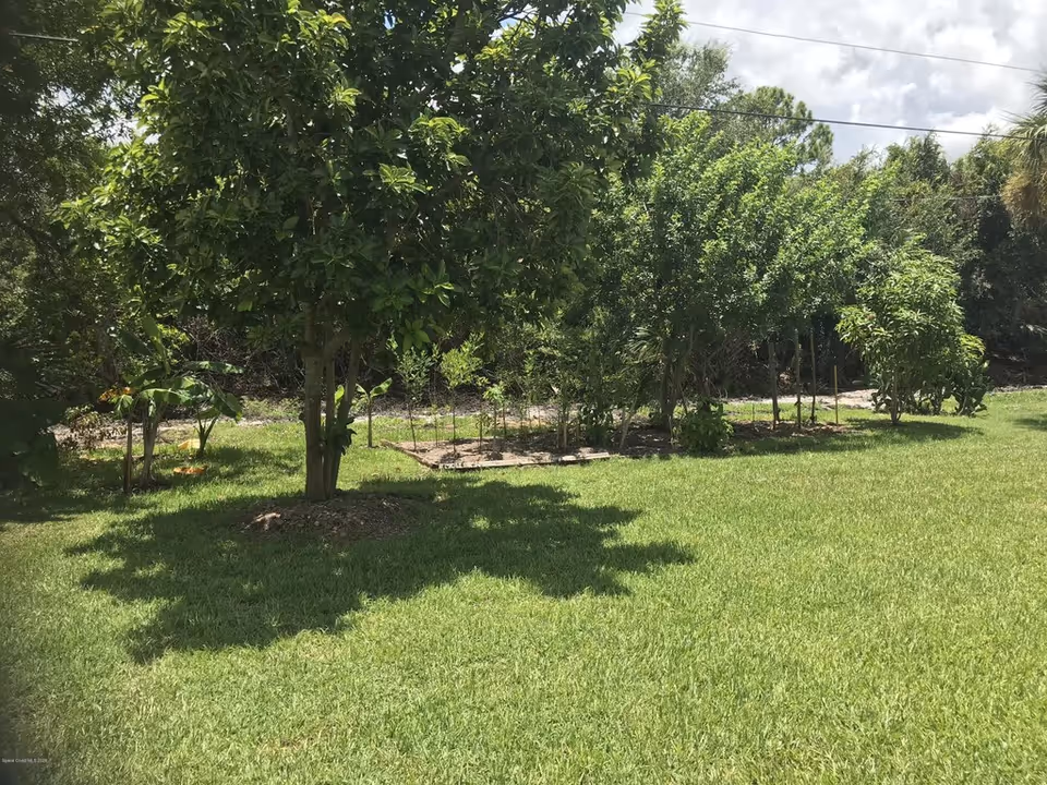 A sunny backyard with a green lawn, several trees, and a small planted garden area.