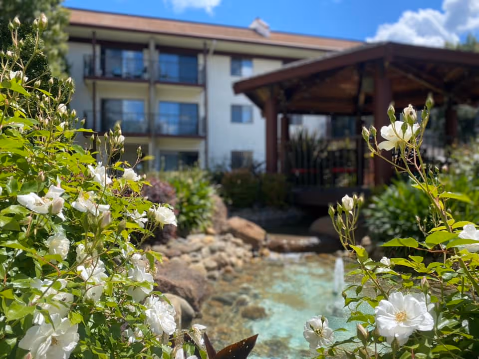 Outdoor garden area at Roseville Commons Senior Living featuring white flowers in the foreground, a small pond with rocks and a fountain, and a wooden gazebo with a building in the background under a blue sky with some clouds.