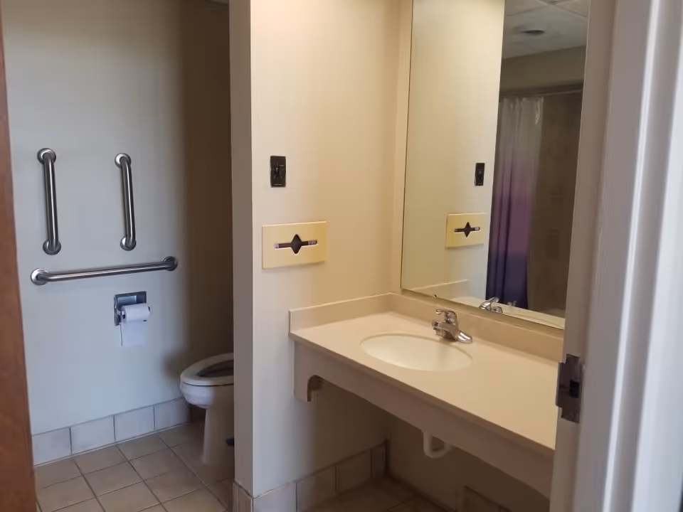 A bathroom with a beige countertop sink and a large mirror above it. To the left, there is a toilet with three stainless steel grab bars mounted on the wall for accessibility. The floor is tiled, and a shower curtain with a gradient from white to purple is partially visible in the background.