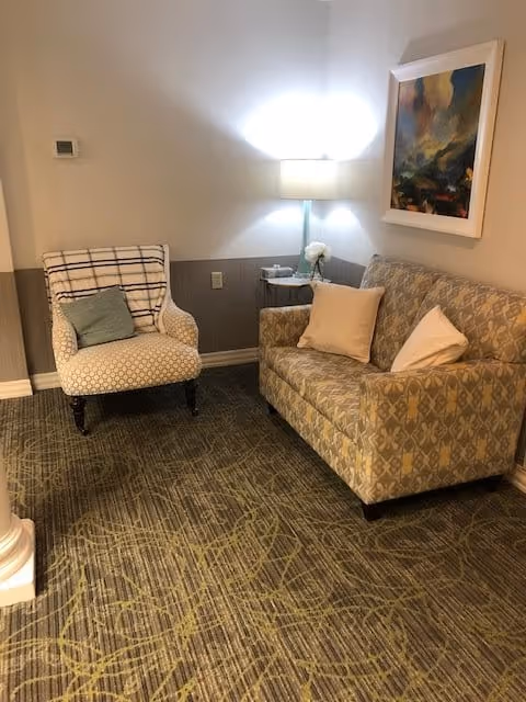 A cozy seating area with a patterned armchair draped with a plaid blanket and a small pillow, next to a patterned sofa with two pillows. A floor lamp with a white shade is placed behind the sofa, illuminating the corner. A framed abstract painting hangs on the wall above the sofa. The floor is carpeted with a design of intersecting lines.