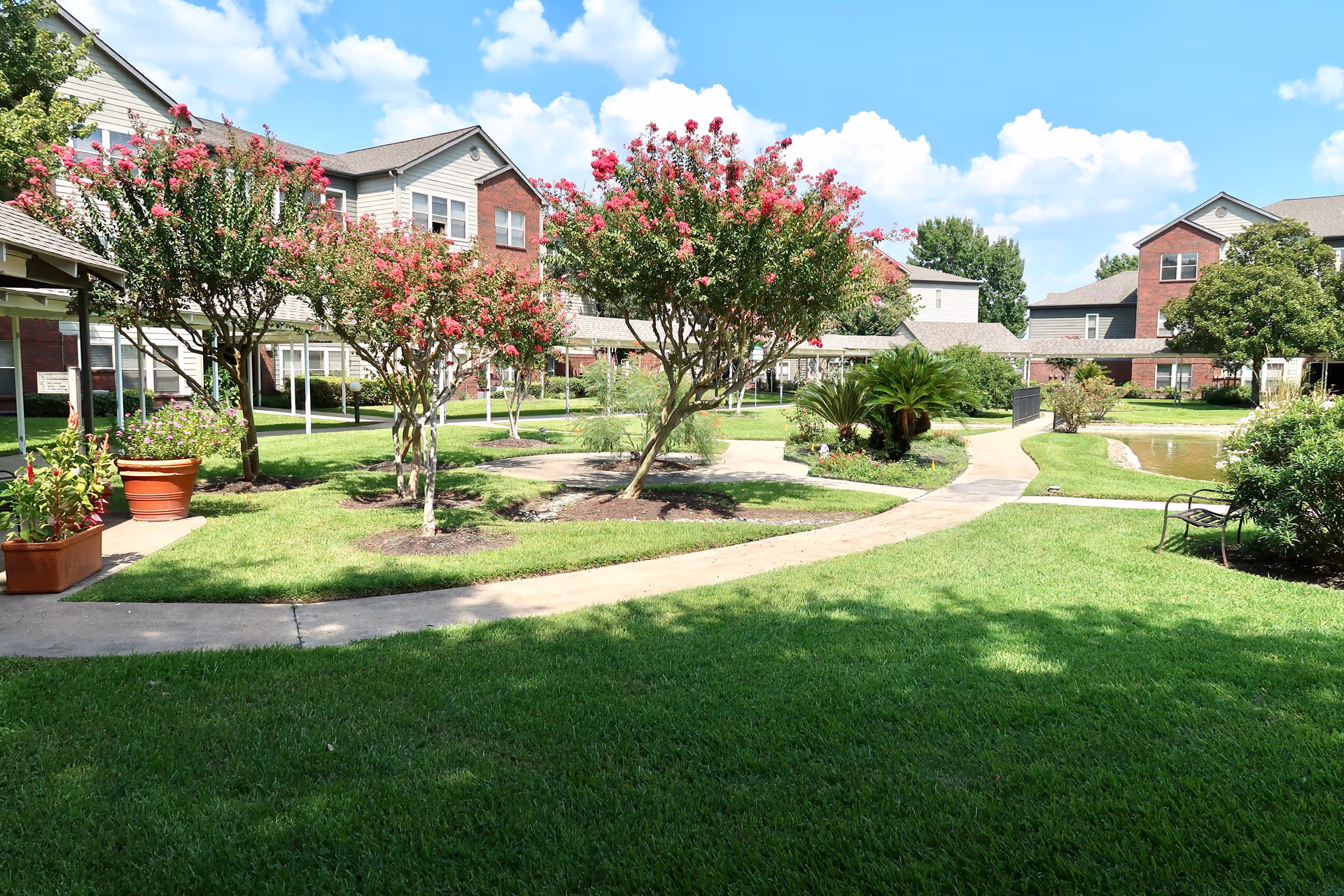 A sunny outdoor courtyard at Lone Star Living featuring green grass, a winding concrete pathway, blooming pink flowering trees, potted plants, and a small pond. Surrounding the courtyard are multi-story residential buildings with brick and beige siding under a blue sky with scattered clouds.