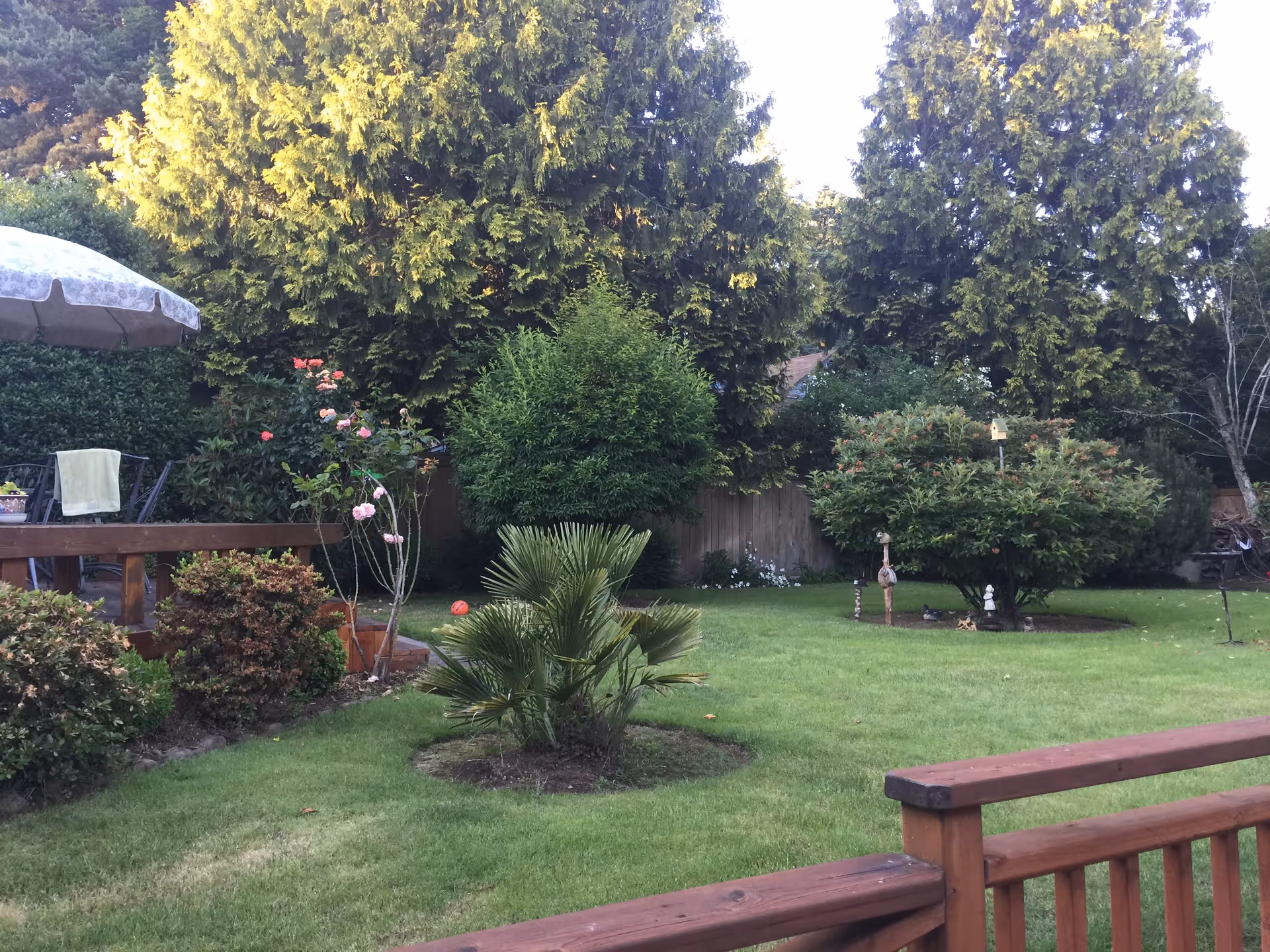 Well-kept backyard with a lawn, shrubs and trees, a wooden deck railing and patio seating with an umbrella.