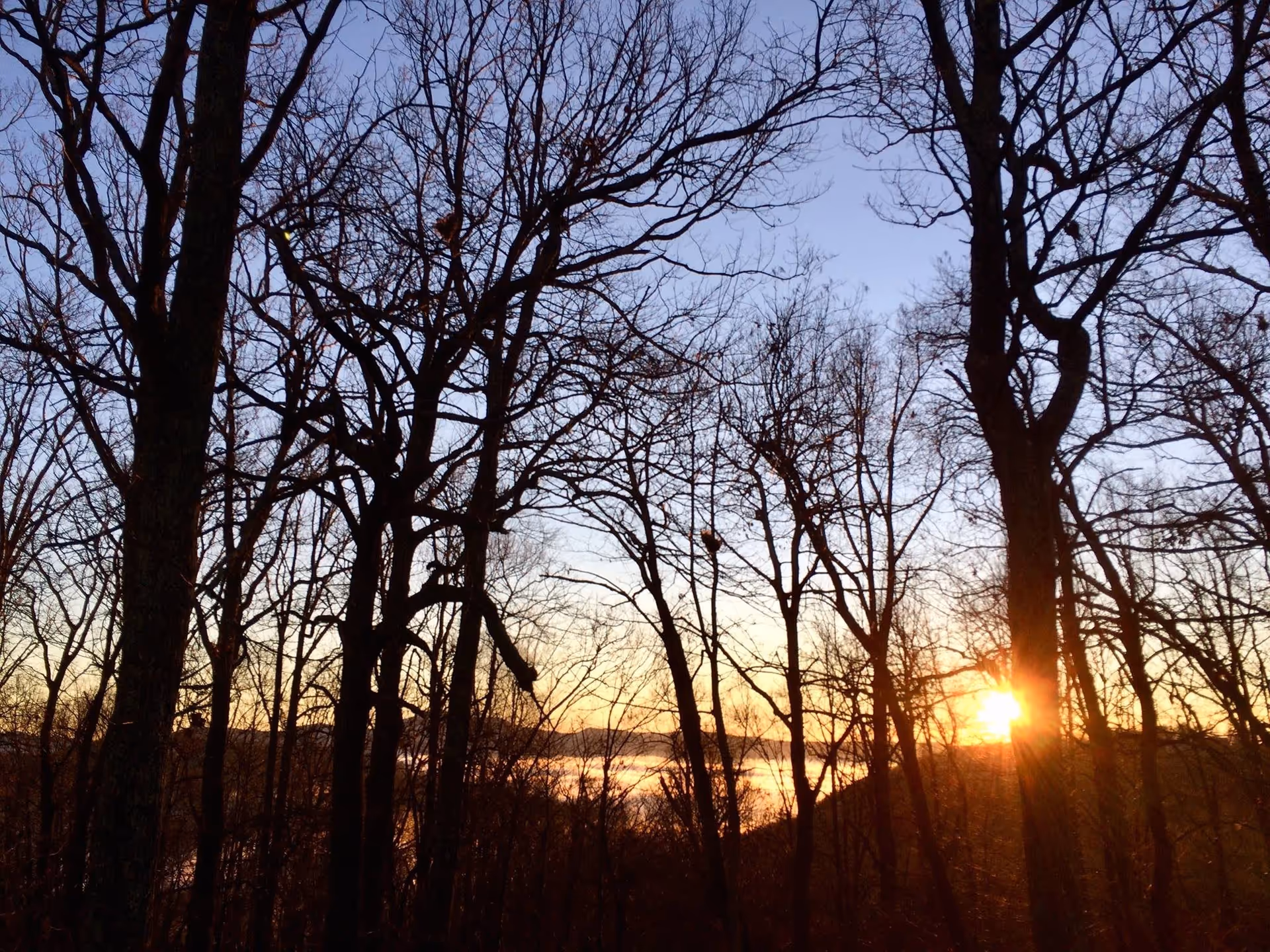 Sunset or sunrise view through leafless trees in a wooded area with a clear sky and distant hills.