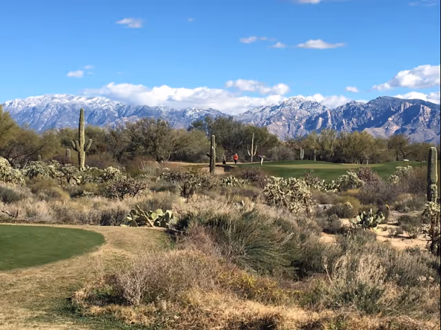 A scenic outdoor view of a desert landscape with various cacti and shrubs in the foreground, a green golf course area with two people walking, and snow-capped mountains under a blue sky with scattered clouds in the background.