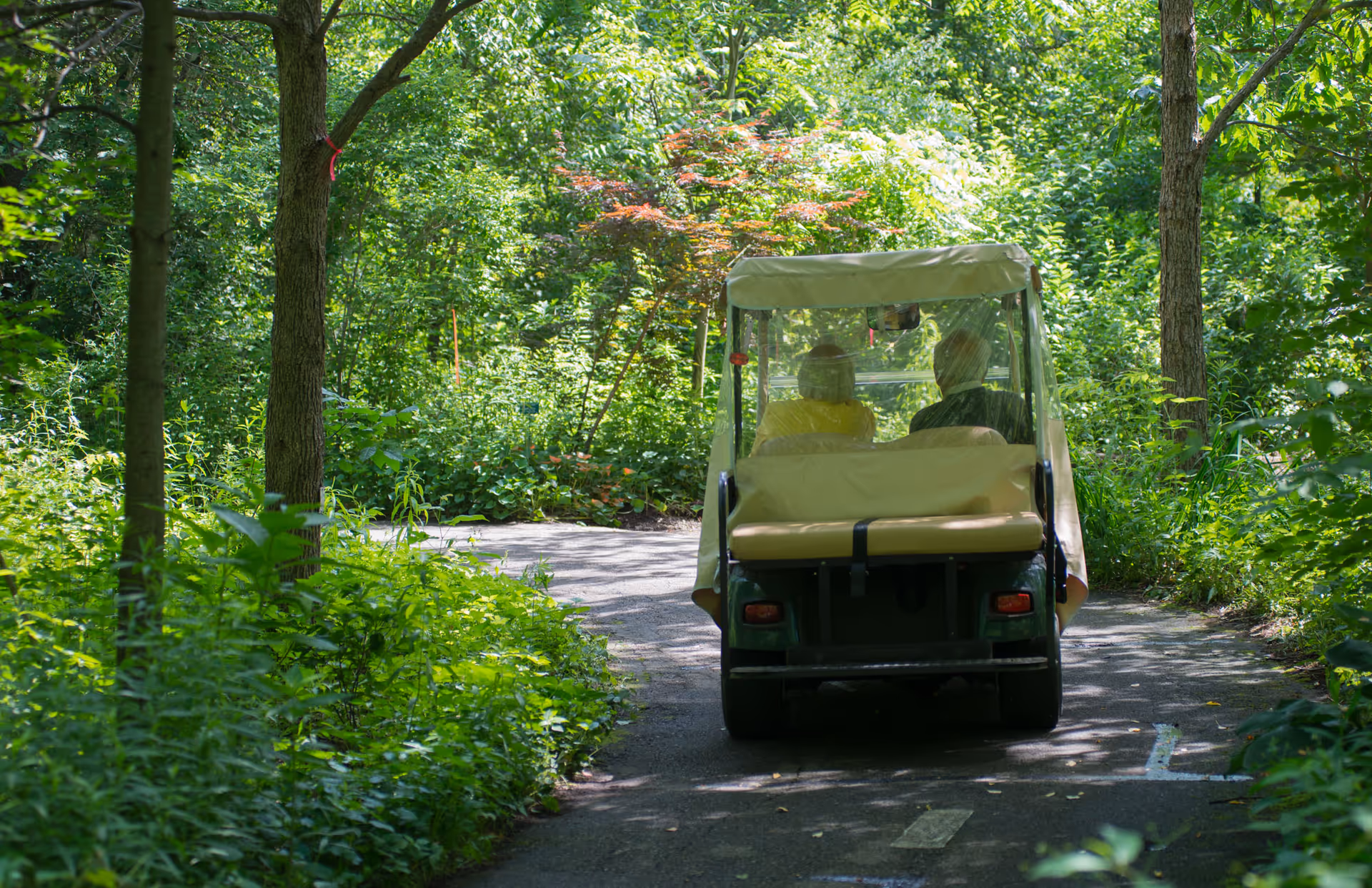 Two people ride in a covered golf cart along a shaded, tree-lined paved path.