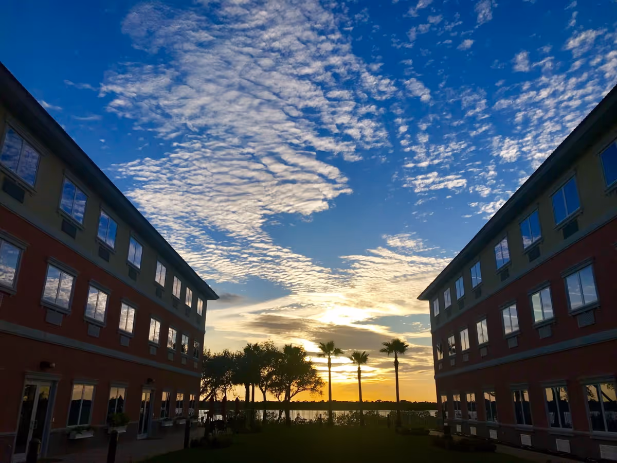 Sunset view between two multi-story buildings with numerous windows, palm trees, and other trees in the background near a body of water under a partly cloudy sky.