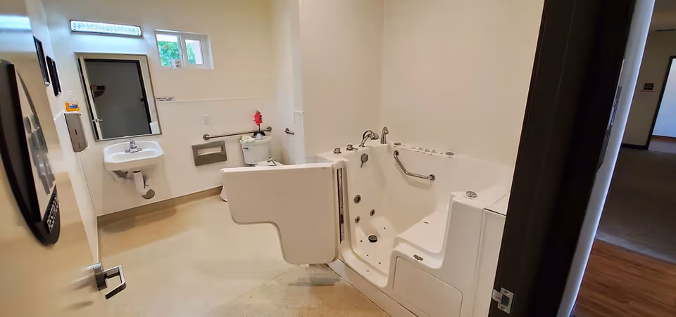 Accessible bathroom featuring a walk-in bathtub with a hinged door and grab bars, a wall-mounted sink, and a toilet.