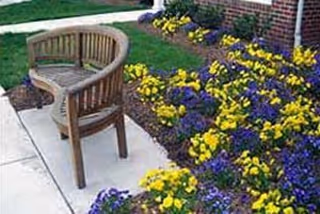 Curved wooden bench on a concrete pathway next to a flower bed with yellow and purple flowers, adjacent to a brick building.