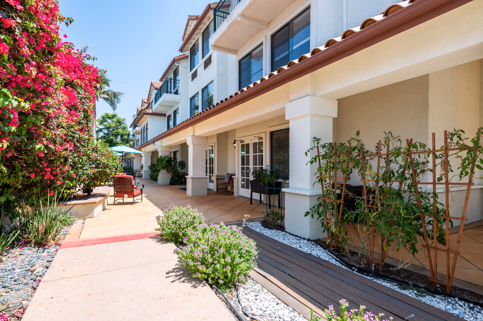 Outdoor walkway alongside a multi-story building with white walls and red tile roof. There are potted plants, trellises with climbing plants, and blooming bushes with bright pink flowers. Patio chairs and tables with umbrellas are visible further down the walkway under a clear blue sky.