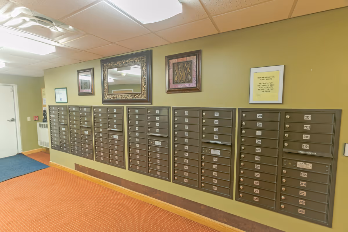 Interior mail room with multiple rows of locked mailboxes mounted on a green wall. Above the mailboxes are framed decorations including a mirror and artwork. The floor is carpeted in orange with a blue mat near a white door on the left side.