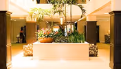 Bright and spacious indoor common area with natural light, featuring a central planter with tall palm plants and flowers, surrounded by cushioned seating. Two people are visible in the background near the hallway.