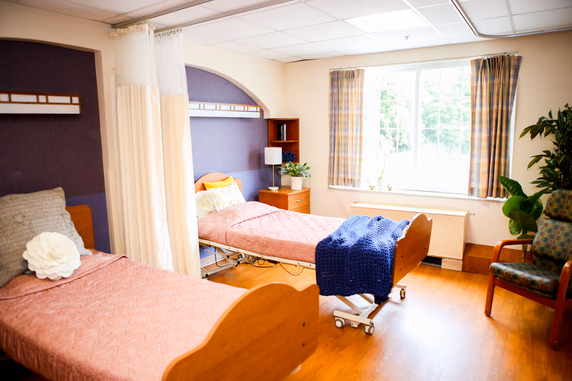 A bright and cozy room with two hospital-style beds, each with pink bedding and decorative pillows. A blue knitted blanket is draped over one bed. The room has a large window with plaid curtains, wooden flooring, a small wooden nightstand with a lamp and plant, a privacy curtain between the beds, and a patterned armchair next to a large green plant.