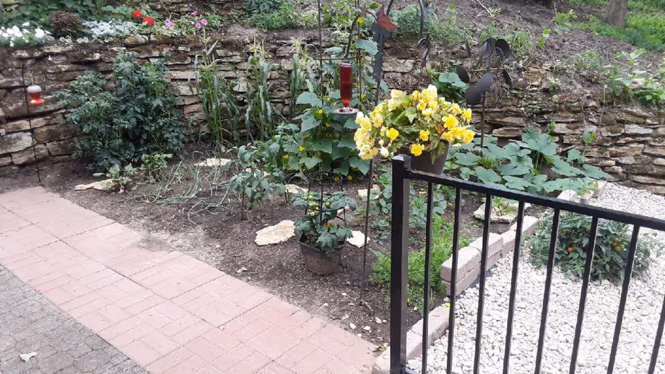 A small garden area with various plants and flowers, bordered by a stone wall and a black metal fence. There is a paved walkway on the left side and some decorative garden elements including a hanging flower pot with yellow flowers and a red hummingbird feeder.