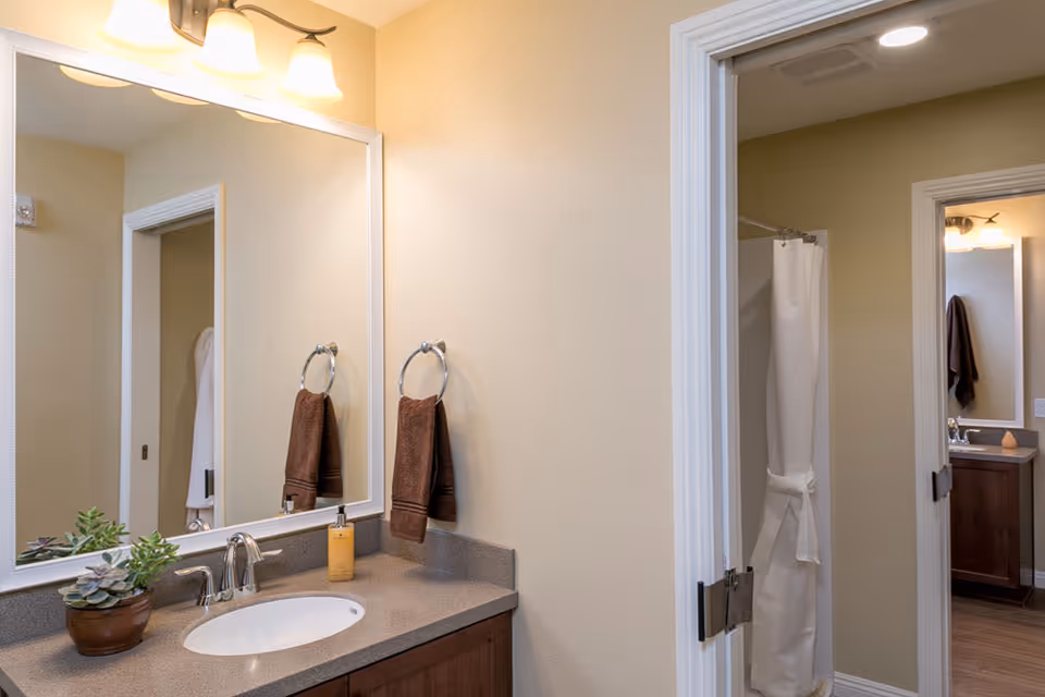 A bathroom with a sink, countertop, and mirror. There is a potted plant and a soap dispenser on the countertop. A brown towel hangs on a ring next to the sink. In the background, a shower with a white curtain and another bathroom sink area are visible through an open door.