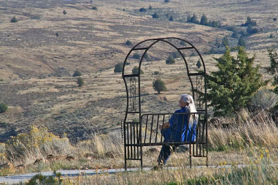 An elderly person with long white hair sitting on a metal bench with an arched backrest, looking out over a vast, dry, hilly landscape with scattered trees and shrubs.