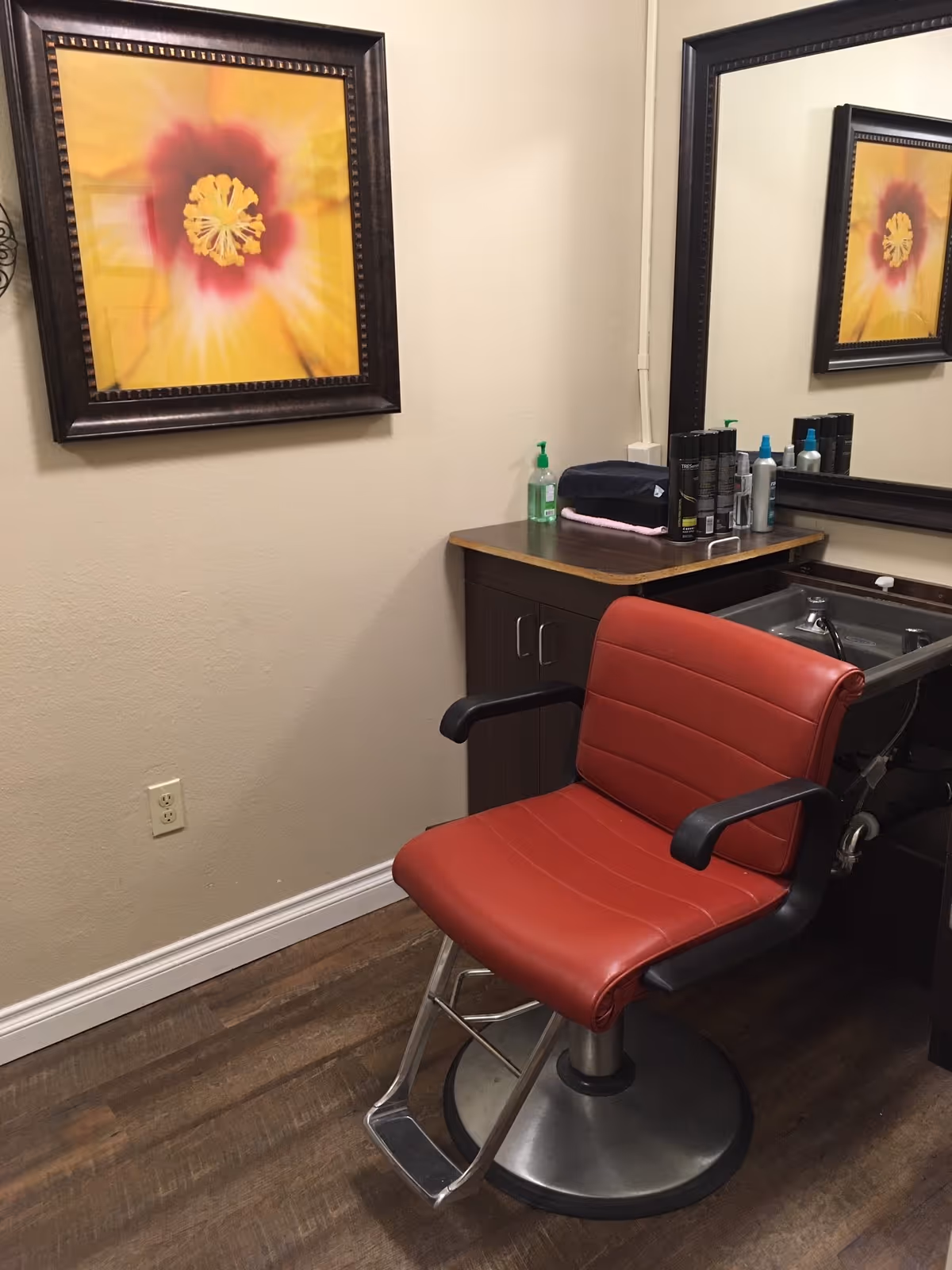 Interior of a salon or grooming area with a red salon chair in front of a sink and countertop. On the countertop are various hair care products and a bottle of hand sanitizer. A large mirror is mounted on the wall above the sink, and a framed close-up photo of a yellow and red flower hangs on the adjacent wall.