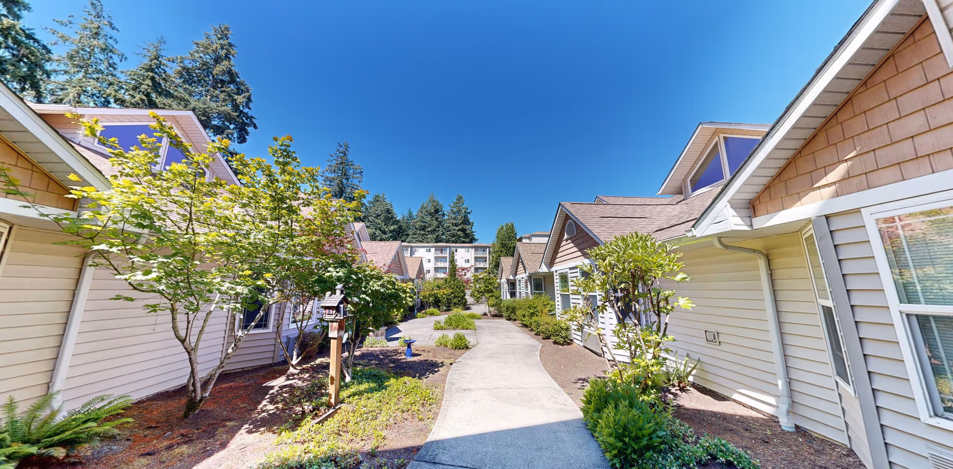 A sunny outdoor pathway lined with small trees and shrubs, flanked by beige residential buildings with brown shingle roofs under a clear blue sky.