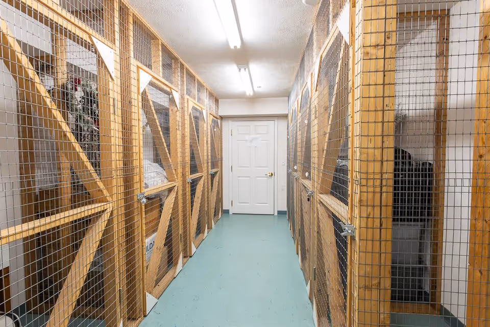 A narrow hallway with storage lockers on both sides made of wooden frames and wire mesh. The floor is light blue, and there is a white door at the end of the hallway. The area is lit by fluorescent ceiling lights.
