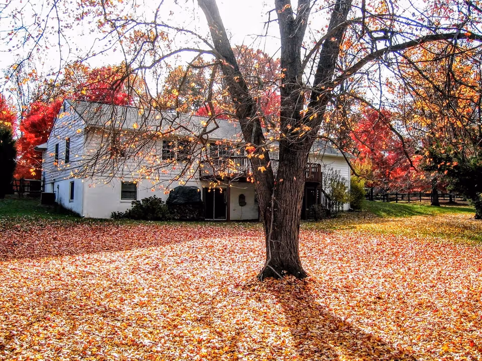 A white two-story house surrounded by trees with autumn foliage. The ground is covered with fallen leaves, and a large tree stands prominently in the foreground casting a shadow.