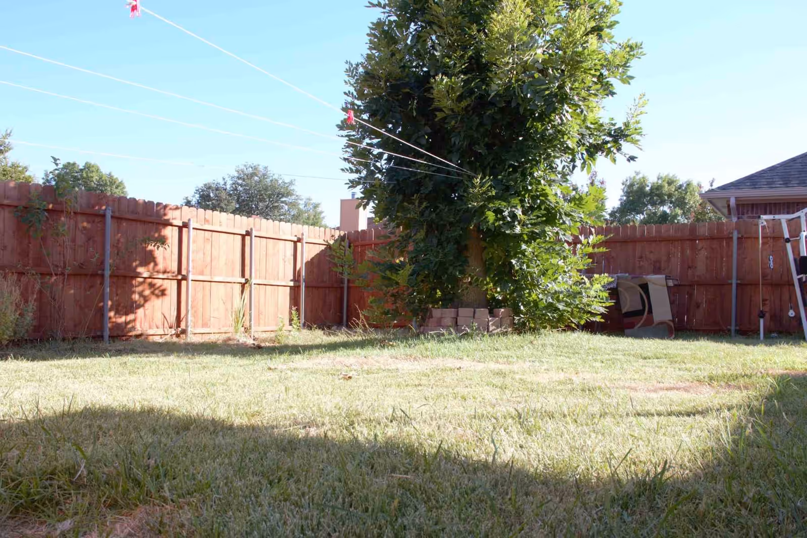 A backyard area with green grass, a large leafy tree near a wooden fence, and some clotheslines with red clips attached. There is a small stack of bricks at the base of the tree and a folded rug leaning against the fence. Part of a house roof and a white metal frame structure are visible on the right side.