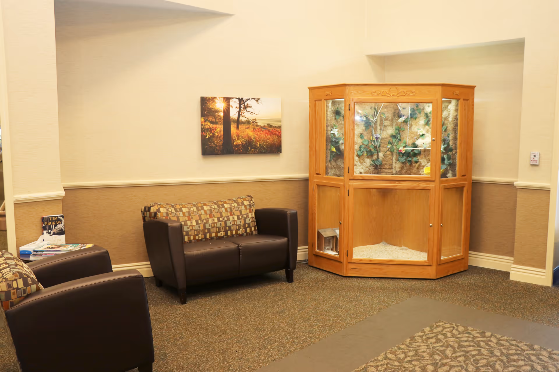 A cozy seating area in a healthcare facility with two brown leather chairs and a matching loveseat with patterned cushions. There is a wooden display cabinet with glass panels containing decorative plants and a small birdhouse. A framed picture of a sunset behind trees hangs on the beige wall above the loveseat. The floor is carpeted with a patterned rug partially visible.
