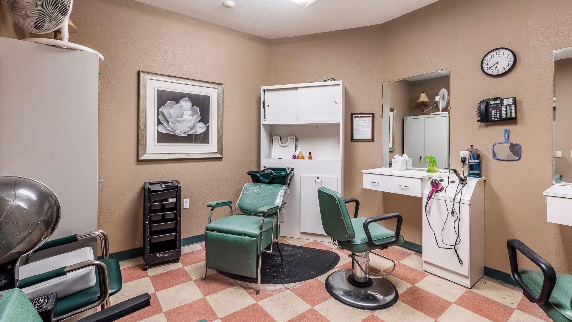 Interior view of a small salon or grooming room with green salon chairs, a hair dryer, a black and white framed flower picture on the wall, a white cabinet, a mirror, and a wall clock showing 9:10. The room has checkered red and beige flooring and beige walls.