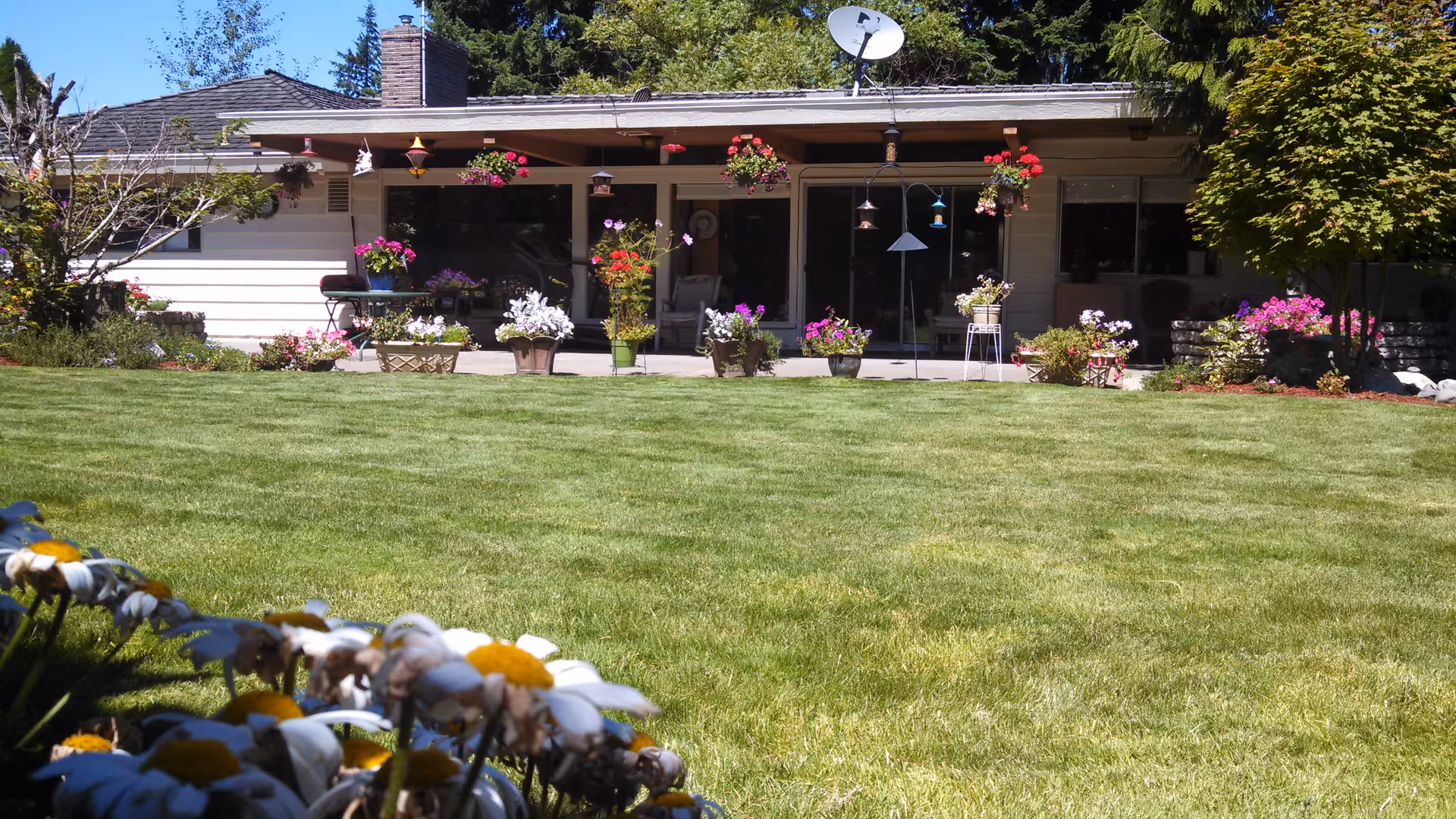 A well-maintained green lawn in front of a single-story building with a covered patio. The patio has several hanging flower pots and potted plants with colorful flowers. Trees and shrubs surround the area, and the sky is clear and blue.