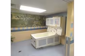 Assisted bathing room with a large patient lift tub against a muraled wall.