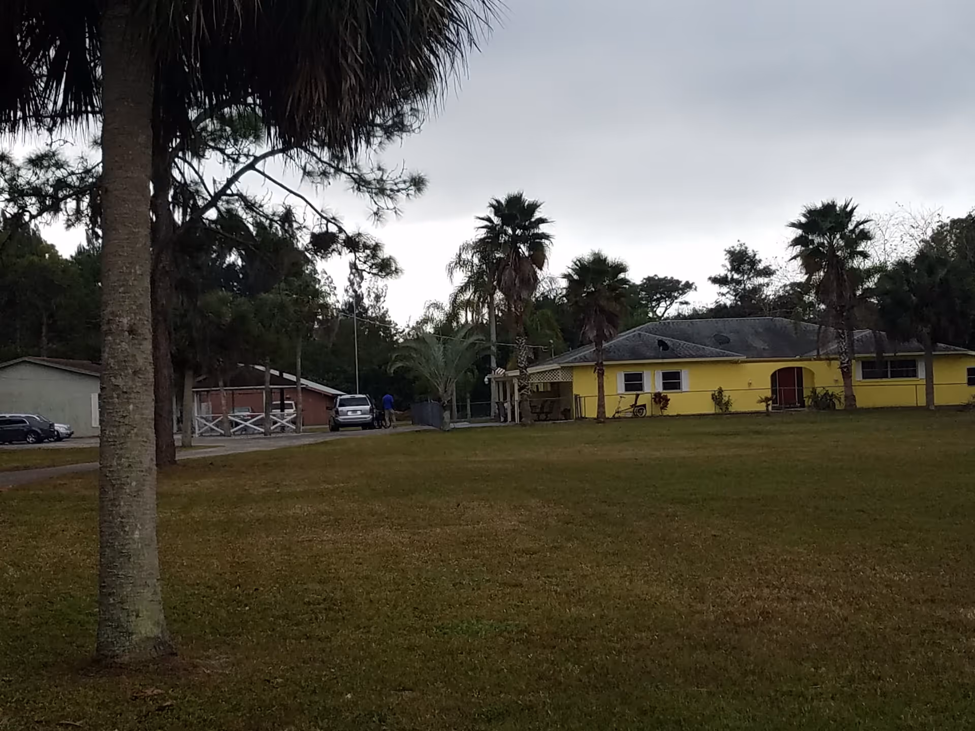 A yellow single-story building with palm trees and a large grassy lawn under an overcast sky.