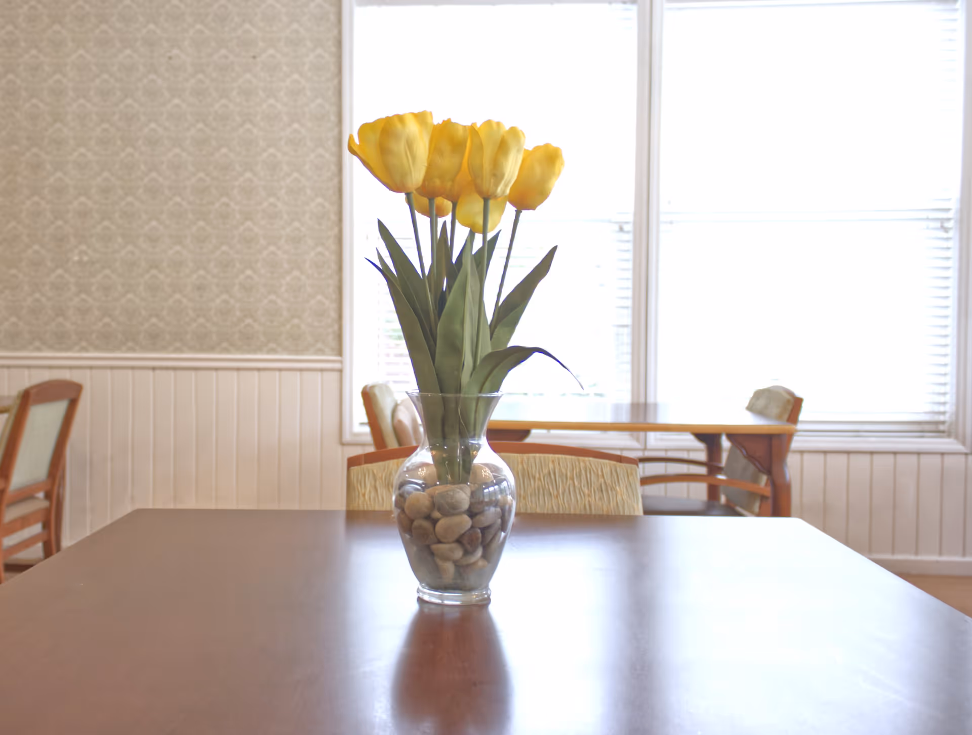 A clear glass vase filled with smooth stones and yellow tulip flowers sits on a wooden table in a well-lit room with patterned wallpaper and large windows with blinds. Several chairs and another table are visible in the background.