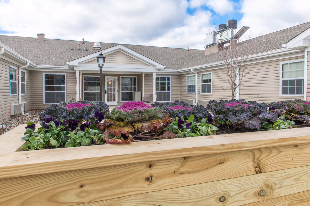 Raised wooden garden bed filled with ornamental cabbages and other plants in the courtyard of a beige single-story building with multiple windows and a covered entrance under a partly cloudy sky.