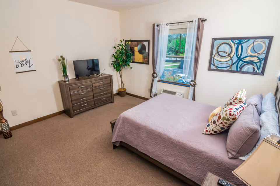 A cozy bedroom with a bed covered in a lavender quilt and colorful pillows. There is a wooden dresser with a flat-screen TV on top, a potted plant in the corner, and two framed abstract paintings on the walls. A window with sheer white curtains and brown drapes lets in natural light, showing greenery outside.