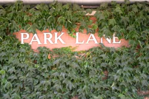 Park Lane Nursing Home sign on brick wall partially obscured by ivy