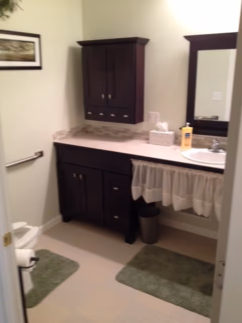 Bathroom with a dark wood vanity and wall cabinet, sink and mirror, toilet, and green bath mats.