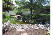 A landscaped outdoor garden featuring a small rock-lined pond, plants and trees with a single-story building in the background.