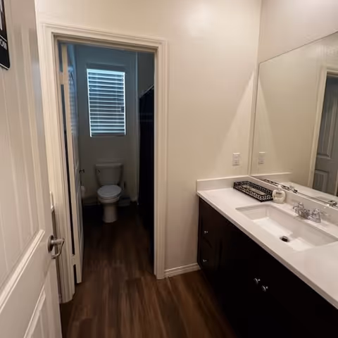 Bathroom showing a vanity with sink and large mirror on the right and a separate toilet area ahead with wood-look flooring.
