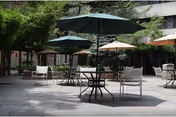 Outdoor patio area with several tables and chairs under large umbrellas, surrounded by trees and a multi-story building in the background.
