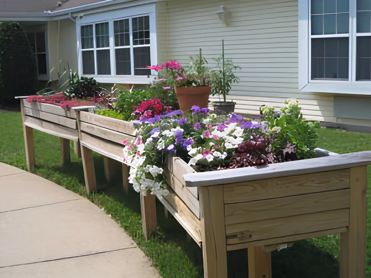 Raised wooden planters filled with colorful flowers outside a light-colored building with windows.