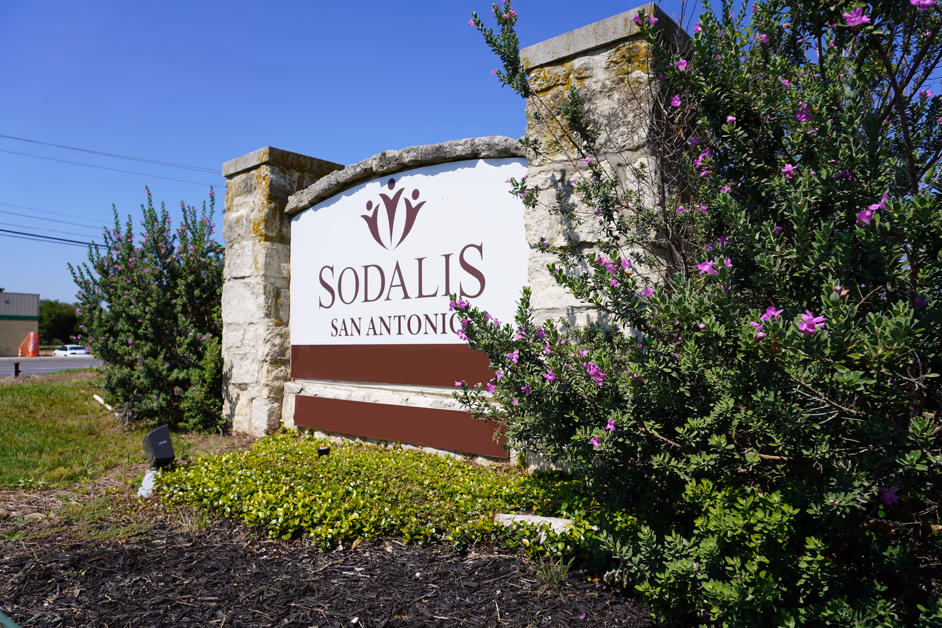 Stone sign for Sodalis San Antonio surrounded by green bushes with purple flowers under a clear blue sky.