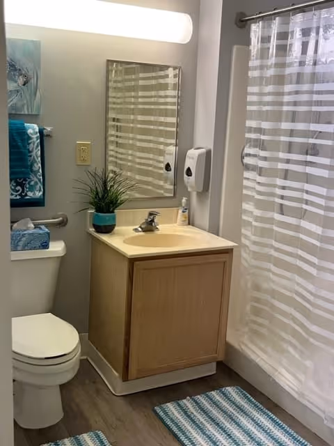 A clean and well-lit bathroom featuring a toilet, a wooden vanity with a sink, a mirror above the sink, a soap dispenser mounted on the wall, a shower with a striped translucent curtain, a small potted plant on the vanity, a blue patterned towel hanging on a towel rack, and two blue and white striped rugs on the floor.