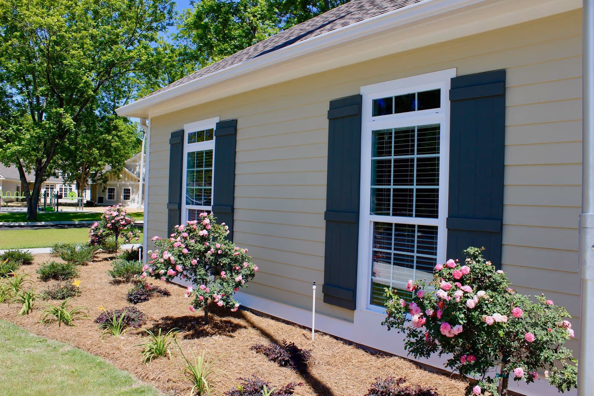 Exterior view of a beige building with two windows featuring dark shutters. In front of the building, there are landscaped flower beds with blooming pink rose bushes and other plants. Trees and another building are visible in the background under a clear blue sky.