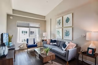 A modern living room with a gray sofa adorned with pink and blue cushions, a wooden coffee table with a small plant, a blue armchair near a window with blinds, a flat-screen TV on a stand, and four framed botanical prints on the wall. The room has wooden flooring and is softly lit by a table lamp.