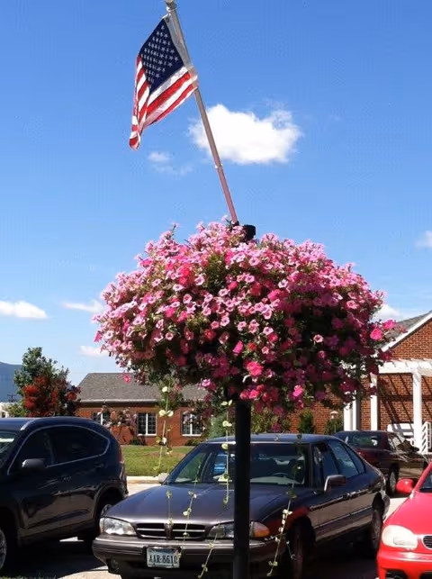 A parking lot with several cars parked near a building. In the foreground, there is a tall black lamp post adorned with a large hanging basket of pink and purple flowers. Above the flowers, an American flag is flying against a clear blue sky with a few white clouds.