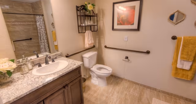 Accessible bathroom featuring a vanity with sink, toilet with grab bars, towel racks, and a shower with a curtain.